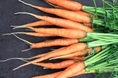 doğal zemin üzerine kuyrukları ile taze çiğ havuç