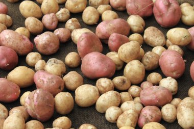 Sivas'tan patates çiğ sebze yemek desen doku ve arka plan