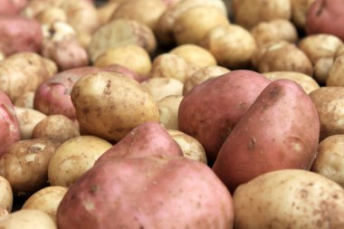 Sivas'tan patates çiğ sebze yemek desen doku ve arka plan