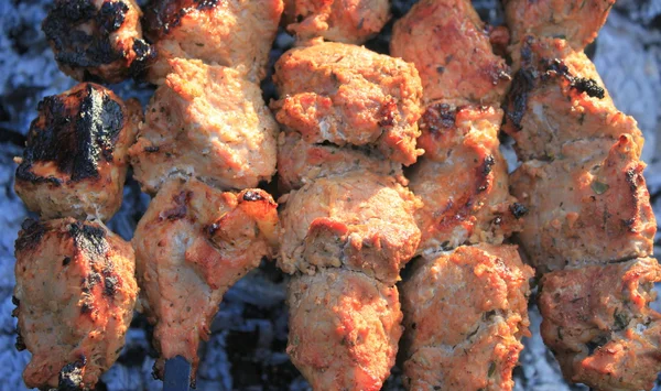 Shashlick laying on the grill closeup — Stock Photo, Image