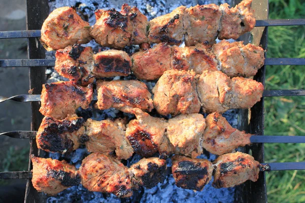 Shashlick r. na zbliżenie grill — Zdjęcie stockowe