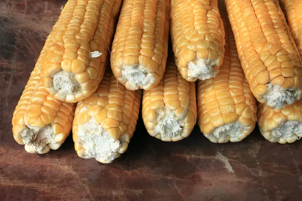 Ripe corn on brown background closeup — Stock Photo, Image