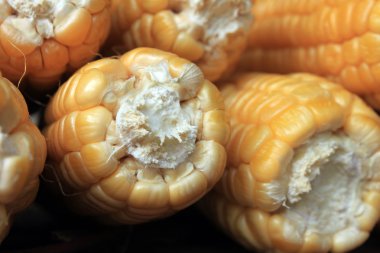 kahverengi arka plan üzerinde olgunlaşmış Mısır