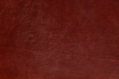 Beautiful red background with leather texture with red veins of red leather background as sample of red background from natural leather or sample of texture of leather for beautiful natural background