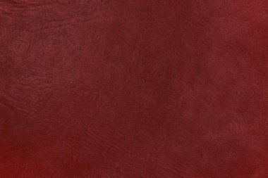 Beautiful red background with leather texture with red veins of red leather background as sample of red background from natural leather or sample of texture of leather for beautiful natural background