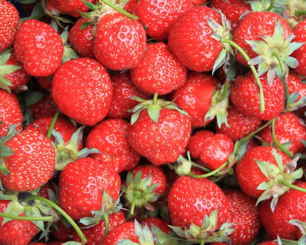 Background from freshly harvested strawberries, strawberry - full frame — Stock Photo, Image