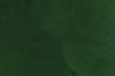 Yeşil deri damarları olan yeşil derili güzel yeşil arkaplan doğal deriden yeşil arkaplan örneği ya da güzel doğal arkaplan için deri dokusu örneği.