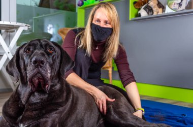 Tedavi sırasında büyük siyah köpek ve terapist.
