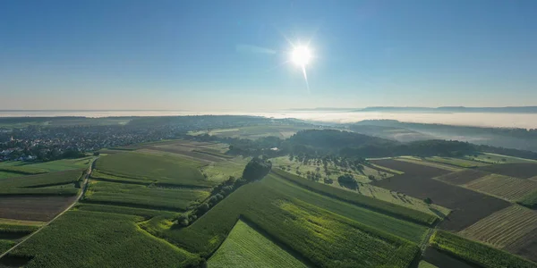 Flygfoto Över Majsfält Morgondimma Och Den Schwabiska Alpen — Stockfoto