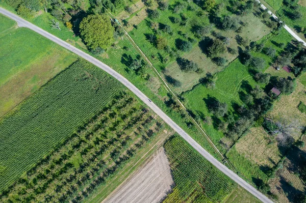 orchard and fields with a trail in a aerial view