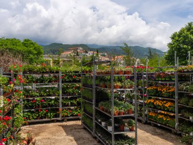 Çiçekçi rafları şehrin ve dağların arka planında sergileniyordu..