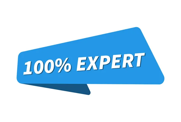 Image 100 Expert Illustration Vectorielle Bannière 100 Expert — Image vectorielle