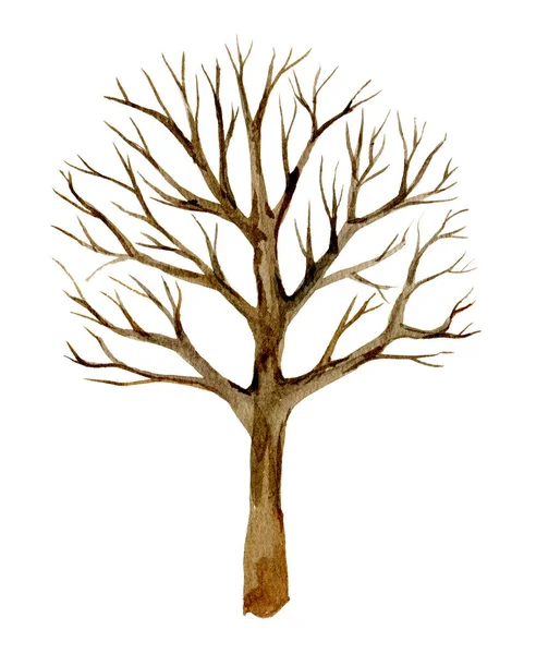 Strom Bez Listí Silueta Zimní Strom Izolovaný Bílém Pozadí Akvarel — Stock fotografie