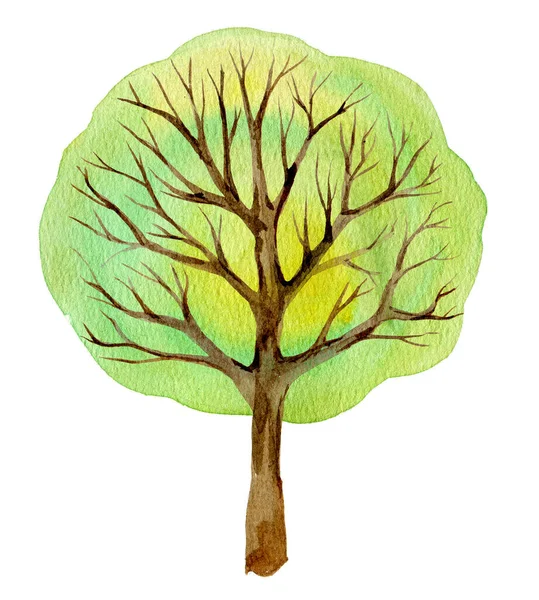 Árbol Verde Silueta Aislado Sobre Fondo Blanco Acuarela Ilustración — Foto de Stock