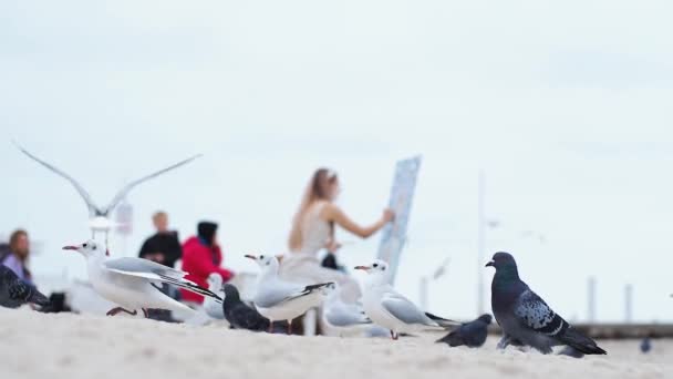 Mladá blond žena maluje obrázek na pláži na čerstvém vzduchu na pozadí létajících racků — Stock video