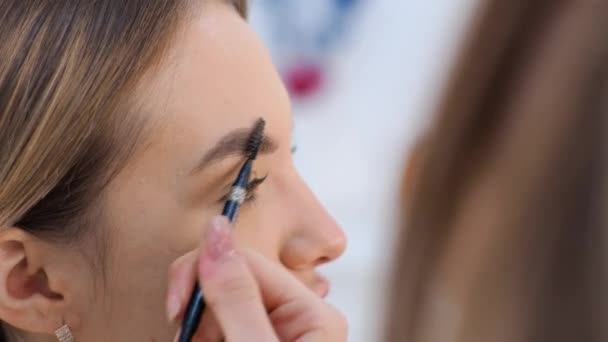 Joven morena maquilladora pinta a una chica rubia en un salón de belleza Tintes cejas — Vídeos de Stock