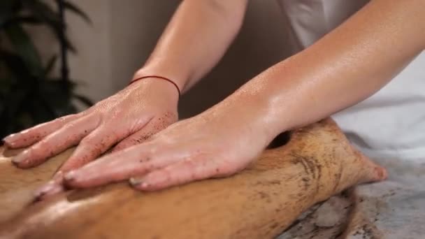 Mulher massagista faz massagem esfregando das pernas massagem bagaço de café em um fundo morno escuro — Vídeo de Stock