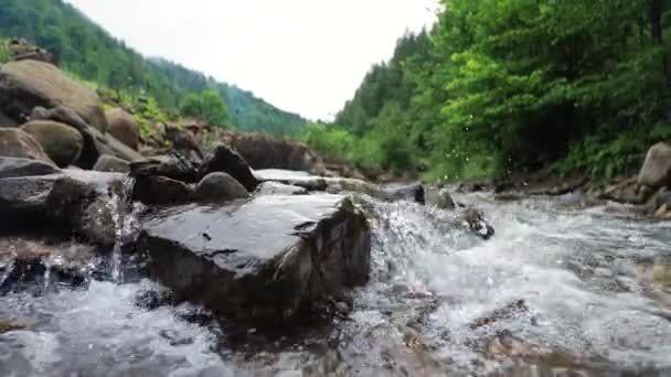 Bakgrund Fjällvatten En å en bäck i skogen — Stockvideo