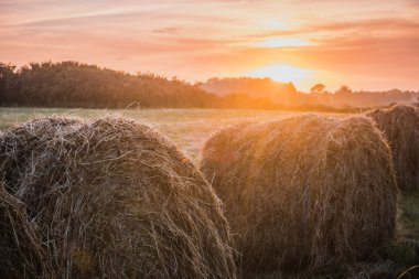 Hasat kavramı haystacks günbatımı sahada