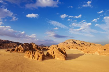 Sinai desert landscape  clipart