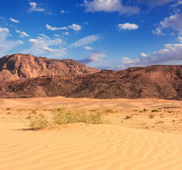 Σινά τοπίο της ερήμου — Φωτογραφία Αρχείου