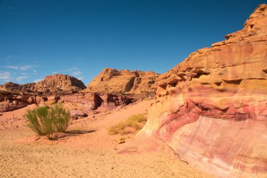 Sinai desert landscape  clipart
