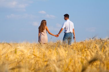 genç bir çift buğday alanı yürüyüş