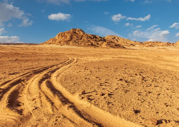 Sinai öknen landskap — Stockfoto