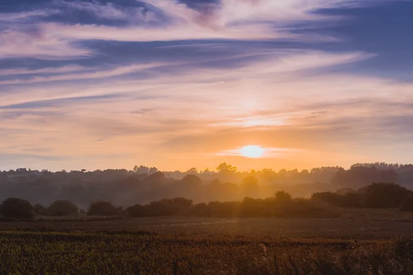 Champ vert et beau coucher de soleil — Photo