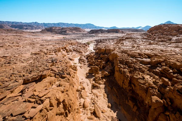 Sinaí desierto paisaje —  Fotos de Stock