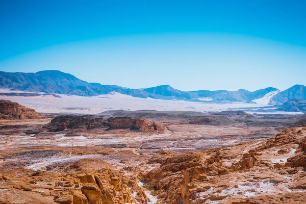 Sinai deserto paisagem — Fotografia de Stock