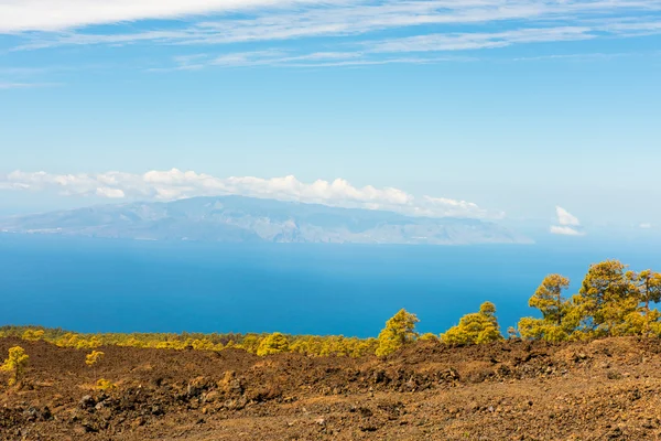 Lava Landschaft Teide Vulkan Teneriffa Kanarienvogel — Stockfoto
