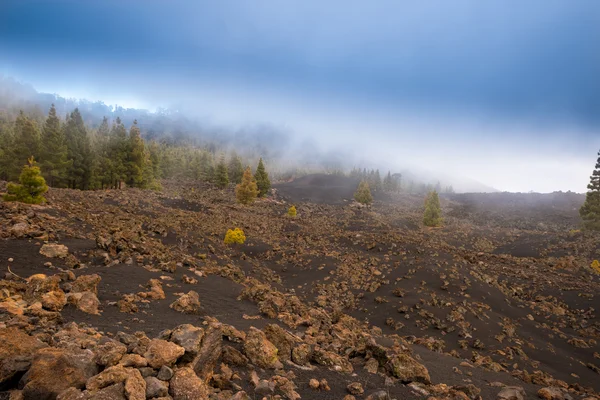 Lavalandschap Teide vulkaan Tenerife-Canarische — Stockfoto