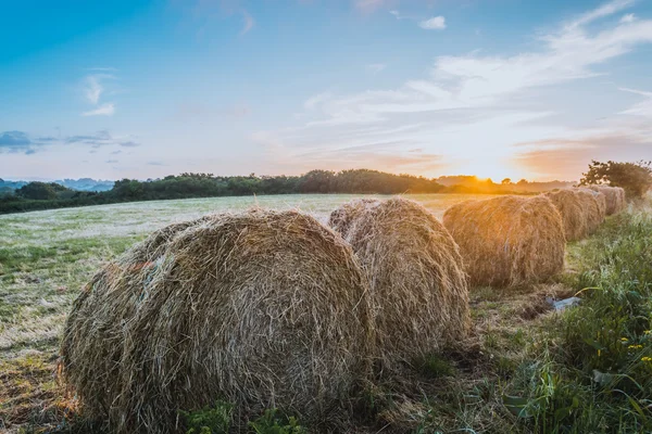 Harvest concept haystacks on sunset field — Stock Photo, Image