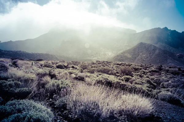 Paisaje volcánico, Teide, Tenerife —  Fotos de Stock