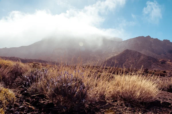 Soleado paisaje volcánico, Teide, Tenerife —  Fotos de Stock