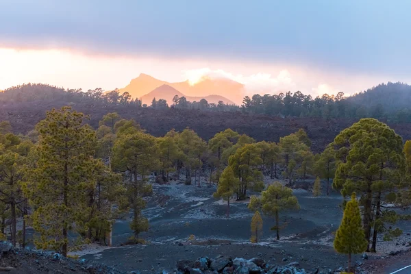 Lava paisaje Teide volcán Tenerife Canarias —  Fotos de Stock