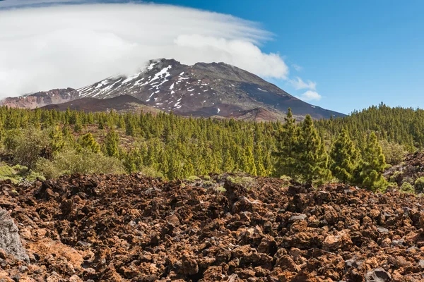 Vulkanische landschap, Teide, Tenerife — Stockfoto