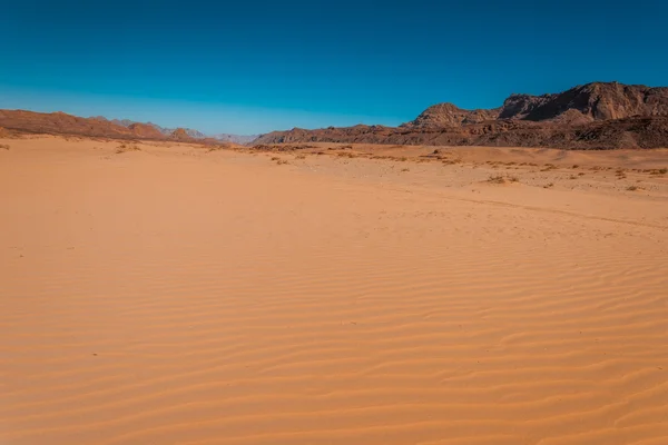 Sinaí desierto paisaje —  Fotos de Stock