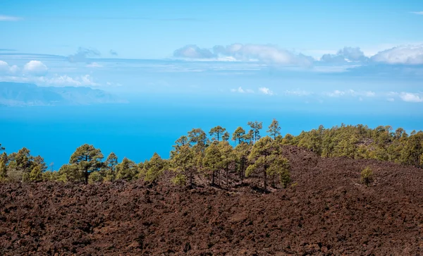 Lavalandschap Teide vulkaan Tenerife-Canarische — Stockfoto