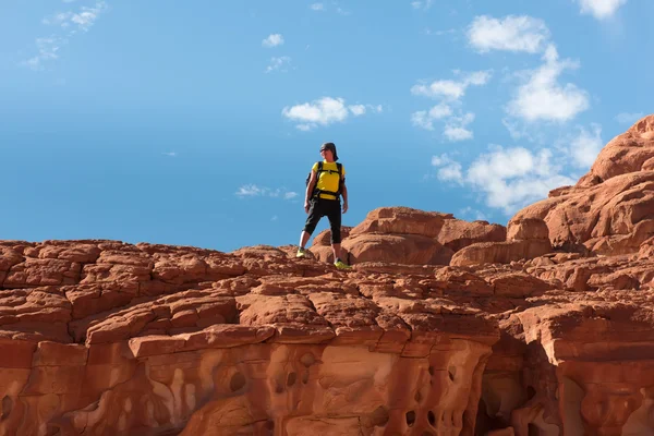 Mujer excursionista con mochila disfrutar de la vista en el desierto — Foto de Stock