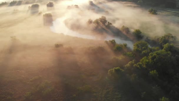 Dron powietrzny widok wschodu słońca nad mglistą rzeką — Wideo stockowe