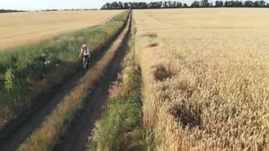 Buğday tarlaları arasında bisiklet süren bir kızın hava aracı görüntüsü