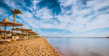 Mısır 'ın Kızıldeniz sahilinde şemsiyenin altında rahatla.