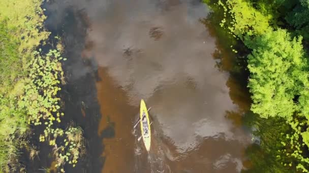 Воздушный беспилотник вид на спортивное каноэ на летней спокойной реке леса — стоковое видео
