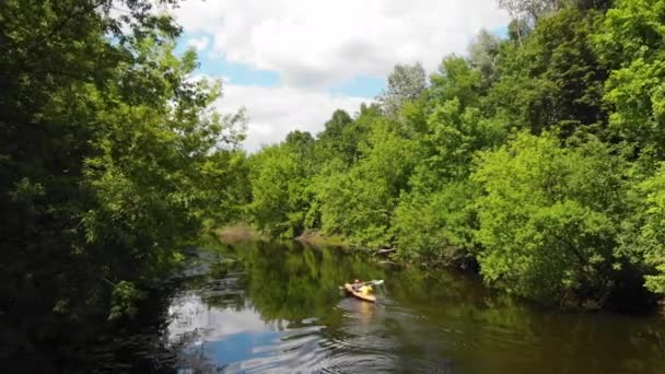Flygdrönare utsikt över sport kanot på sommaren lugn skog flod — Stockvideo
