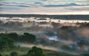 Güneş ışığı ve sisli çayırların doğuşu.