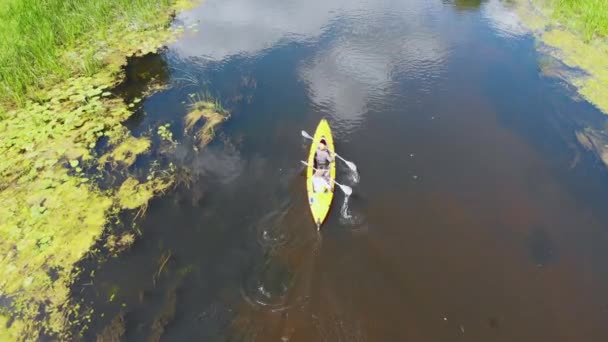 Aerial drone widok sportowy kajak na lato spokojnej rzeki lasu — Wideo stockowe