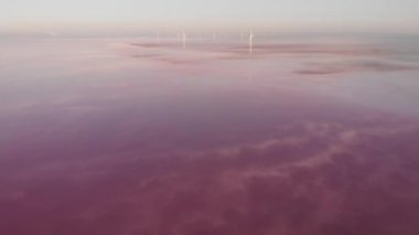 Pembe su ve kıyı şeridiyle Salt Mineral Gölü 'ne insansız hava aracı görüntüsü