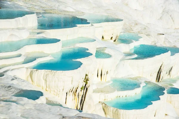 Pamukkale Piscina Natural Con Agua Azul Atracción Turística Turquía — Foto de Stock